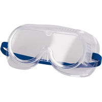 Produktbild von Kerbl Brillen-Maske transparent aus Kunststoff mit EN166 Klasse B Schutz und wasserabweisender Beschichtung