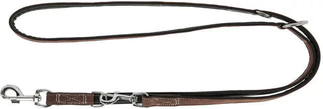 Kerbl California Hundeleine aus Kunstleder Braun 200 cm - 200 cm – Bild 1 von 4