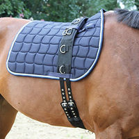 Produktbild von Kerbl COVALLIERO Longiergurt für Warmblut aus Nylon