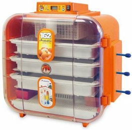 Kerbl Covatutto 162 Digitaler Brutautomat für Wachtel in Orange aus Kunststoff – Bild 1 von 4