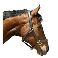 Produktbild von Kerbl Eco Pony Lederhalfter Braun
