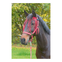 Kerbl Fliegenfransenband für Pferde mit Klettverschluss in Rot für die Pony-Pflege – Bild 1 von 3