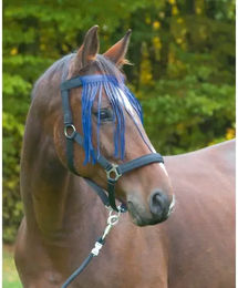 Kerbl Fliegenfransenband mit Klettverschluss blau für Pferde – Bild 1 von 3