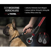 Produktbild von Kerbl GoLeyGo 2.0 Flat Set Halsband und Leine mit Magnetverschluss Schwarz Größe M
