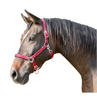 Produktbild von Kerbl Halfter Classic für Vollblut aus Nylon in Rot