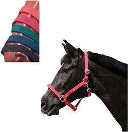 Kerbl Halfter Classic für Warmblut aus Nylon in Rot – Bild 1 von 3