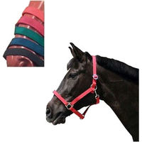 Produktbild von Kerbl Halfter Classic für Warmblut aus Nylon in Rot