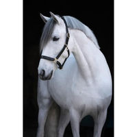 Produktbild von Kerbl Halfter Eco für Warmblut aus Leder in Braun