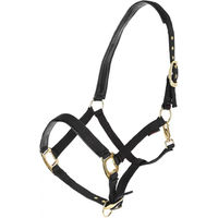 Produktbild von Kerbl Halfter TopLine für Warmblut Pferde in Schwarz und Grau