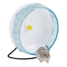 Kerbl Hamsterlaufrad aus Kunststoff für Hamster mit 20 cm Durchmesser in Weiß/Blau – Bild 1 von 3
