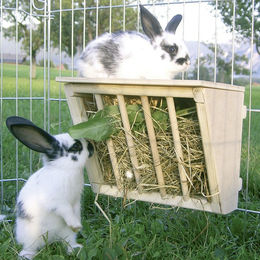 Kerbl Heuraufe aus Holz mit Sitzbrett für Kaninchen und Meerschweinchen naturfarben – Bild 1 von 13