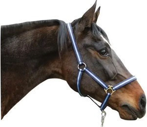 Produktbild von Kerbl hippo Nylon-Pony-Halfter in Blau