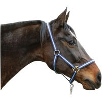 Produktbild von Kerbl hippo Nylon-Pony-Halfter in Blau