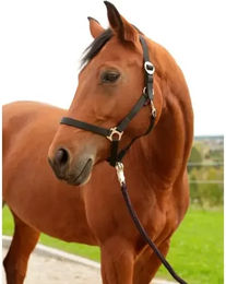 Produktbild von Kerbl Hippo Nylonhalfter für Warmblut Pferde in Schwarz