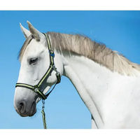 Produktbild von Kerbl Hippo Nylonhalfter Grau