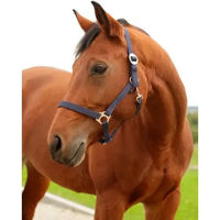 Produktbild von Kerbl hippo Pony-Halfter aus Nylon in Blau