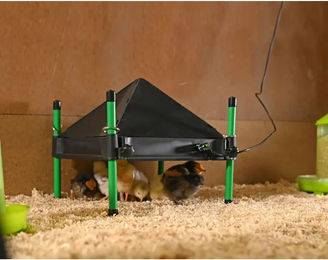 Kerbl Hobbyfarming Schutzklappe Abdeckung für Wärmeplatte aus Kunststoff Schwarz 30x30 cm für Küken – Bild 1 von 6