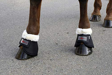 Kerbl Hufglocken Gamaschen aus Fleece Schwarz für Vollblut – Bild 1 von 2