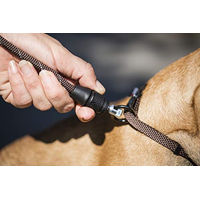 Produktbild von Kerbl Hundeleine aus Nylon Schwarz Größe S 1,4m wasserabweisend für kleine Hunde - 1 Stk.