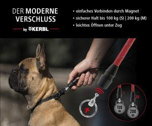 Kerbl Hundeleine Nylon Rot Größe S wasserabweisend 140cm – Bild 1 von 3