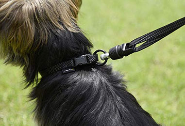 Kerbl Hundeleine Nylon Schwarz Größe S 1,42m Wasserabweisend für kleine Hunde – Bild 1 von 5