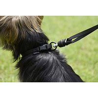 Produktbild von Kerbl Hundeleine Nylon Schwarz Größe S 1,42m Wasserabweisend für kleine Hunde