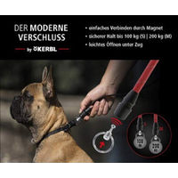 Produktbild von Kerbl Hundeleine Vegas aus echtem Leder in Braun Größe M