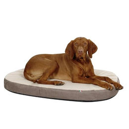 Kerbl Hundematte mit Memory Foam orthopädisch für Senioren Beige Grau Größe L – Bild 1 von 10