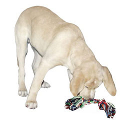 Kerbl Hundespielzeug Zahnknoten aus Baumwolle bunt 37 cm - 240 g – Bild 1 von 9