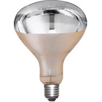 Produktbild von Kerbl Infrarotlampe aus Glas für Schweine und Geflügel 150 W transparent
