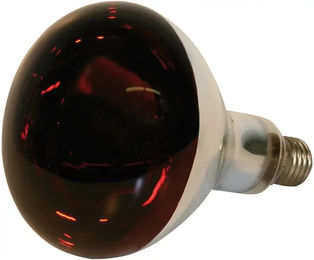 Kerbl Infrarotlampe Rotlicht aus Glas für Schweine und Geflügel 250 W – Bild 1 von 3