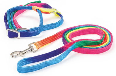 Produktbild von Kerbl Katzengeschirr mit Leine Rainbow für erwachsene Katzen