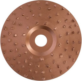 Kerbl Klauenscheibe für die Hufpflege aus Metall 125 mm Körnung 40 weit bestückt – Bild 1 von 2