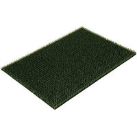 Produktbild von Kerbl Kratz- und Reinigungsmatte aus Kunststoff Grün