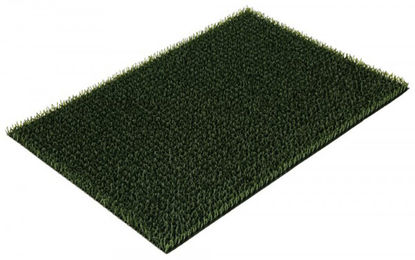 Kerbl Kratz- und Reinigungsmatte aus Kunststoff in Grün 55x90 cm – Bild 1 von 13