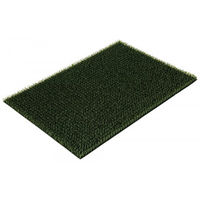 Produktbild von Kerbl Kratz- und Reinigungsmatte aus Kunststoff in Grün 55x90 cm