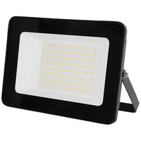 Produktbild von Kerbl LED-Außenstrahler 100W ohne Bewegungsmelder GS-zertifiziert