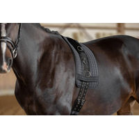 Produktbild von Kerbl Longiergurt für Ponys aus Nylon in Schwarz - 1 Stk.