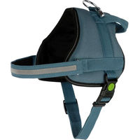 Produktbild von Kerbl Maestro 2.0 Hundegeschirr aus Polyester in Blau Türkis mit Adresstube 20mm x 57-77cm