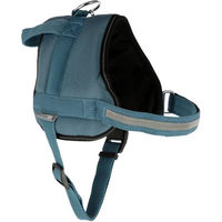Produktbild von Kerbl Maestro 2.0 Hundegeschirr aus Polyester in Petrol mit Adresstube 38mm x 83-113cm