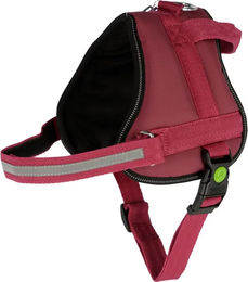 Kerbl Maestro 2.0 Hundegeschirr aus Polyester in Rot mit Adresstube 57-77 cm – Bild 1 von 4