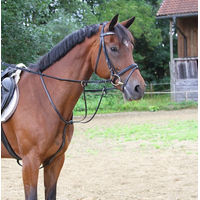 Produktbild von Kerbl Martingal aus Leder für Ponys in Schwarz