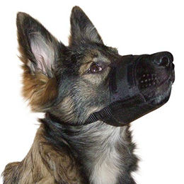 Kerbl Maulkorb für Hunde aus Nylon in Schwarz Größe S 14-20 cm – Bild 1 von 6