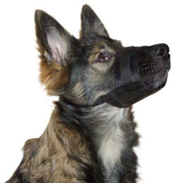 Kerbl Maulkorb für Hunde aus Nylon in Schwarz Grösse XL 20-26 cm – Bild 1 von 5