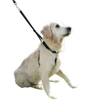 Produktbild von Kerbl Maxi Leader Hundegeschirr aus Nylon in Schwarz Größe 2 wasserabweisend
