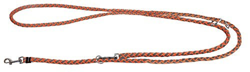 Kerbl Maxi Safe Hundeführleine aus Nylon in Orange 200 cm - 200 cm – Bild 1 von 3