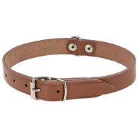 Produktbild von Kerbl Mexica Hundehalsband Taupe 20 mm 41-51 cm genietet