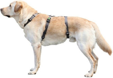 Kerbl Miami Panikgeschirr Sicherheitsgeschirr für Hunde Grau 38-52cm Brustumfang – Bild 1 von 8