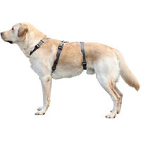 Produktbild von Kerbl Miami Panikgeschirr Sicherheitsgeschirr für Hunde Grau 38-52cm Brustumfang