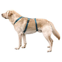 Produktbild von Kerbl Miami Sicherheitsgeschirr für Hunde aus Nylon in Blau Türkis wasserabweisend